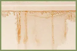 Delray Beach Restoration Company Delray Beach, FL 561-325-7358 - sid-damageserv-wgr-24