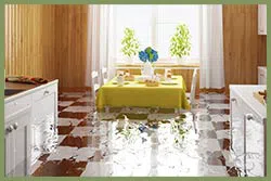 Delray Beach Restoration Company Delray Beach, FL 561-325-7358 - sid-flood-serv-wgr-24
